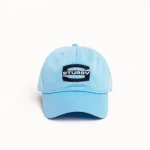 ステューシー MD ラージ S スカイブルー キャップ