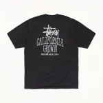 ステューシー カリフォルニアグロウン 顔料染め フェードブラックTシャツ