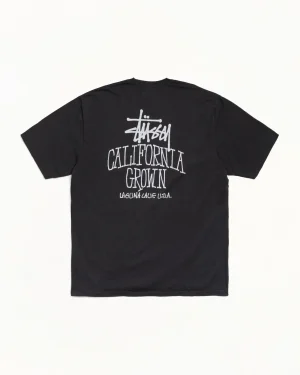 ステューシー カリフォルニアグロウン 顔料染め フェードブラックTシャツ
