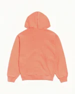 ステューシー ピグメントダイドウェア ジップシャーベット パーカー-1