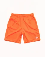 ステューシー ベーシック メッシュ オレンジ ショートパンツ