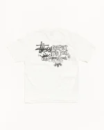 ステューシー リスペクト ザ プール Tシャツ 顔料染め