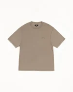 ステューシー レイジーグレー Tシャツ