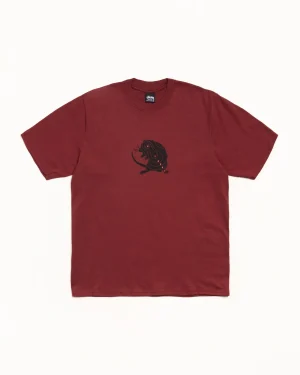 ステューシー ロングレンジ ワイン Tシャツ